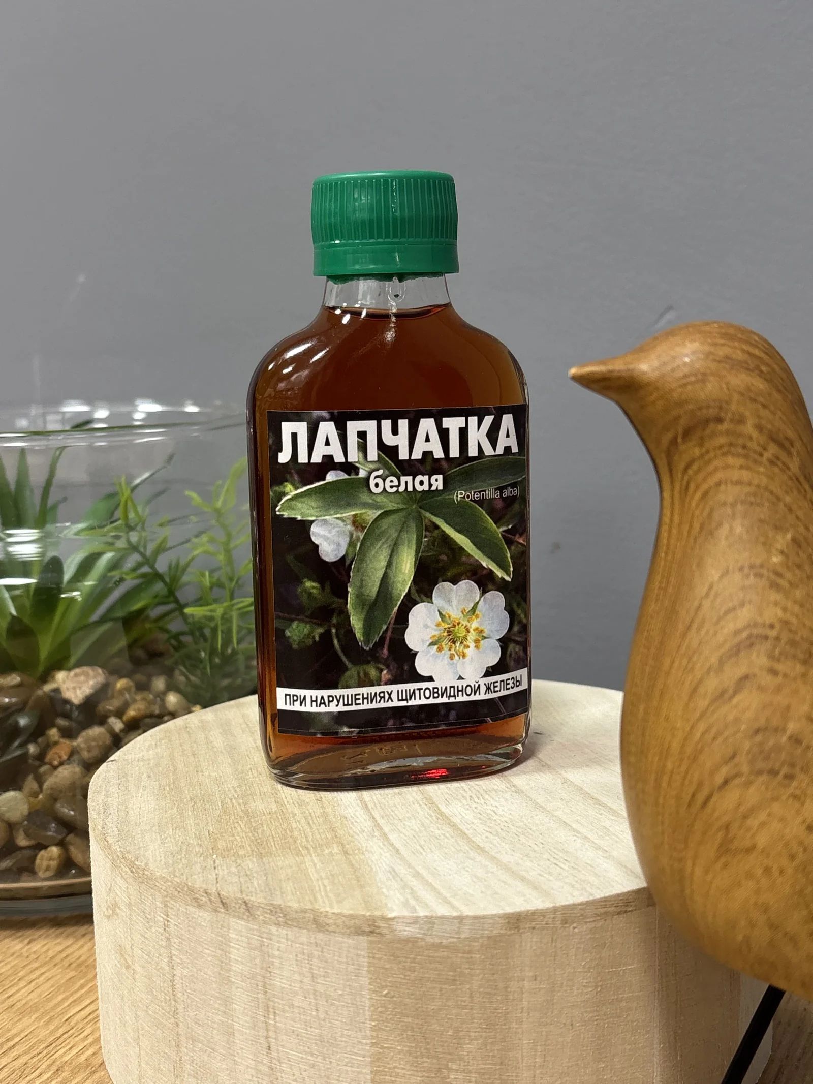 Лапчатка белая настойка, 200 мл (стекло) — для щитовидной железы и гормонального баланса