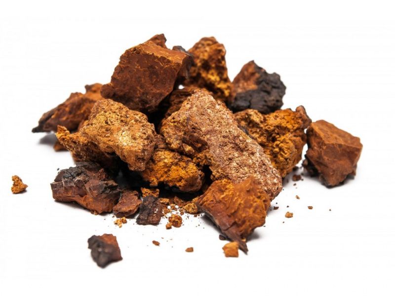 Чага (березовый гриб), 100г